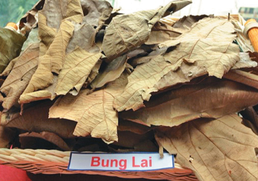 Bí ẩn của 9 loại thảo mộc ảnh 8